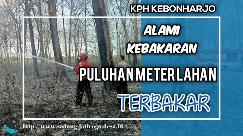 KEBAKARAN LAHAN HUTAN DI KOMPLEKS KPH KEBONHARJO